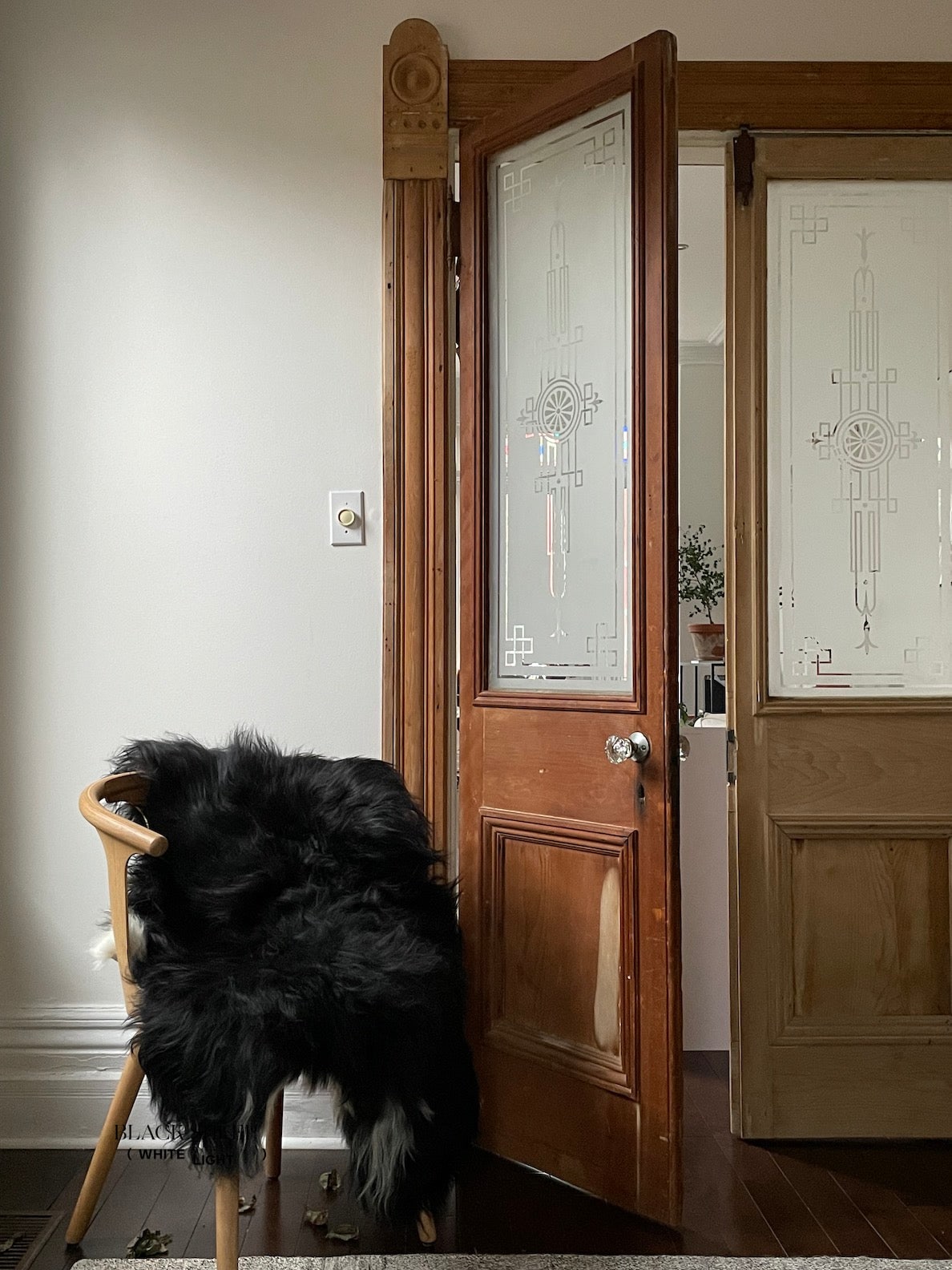 Spotted Icelandic Sheepskin | Maximal - Black Sheep (White Light)