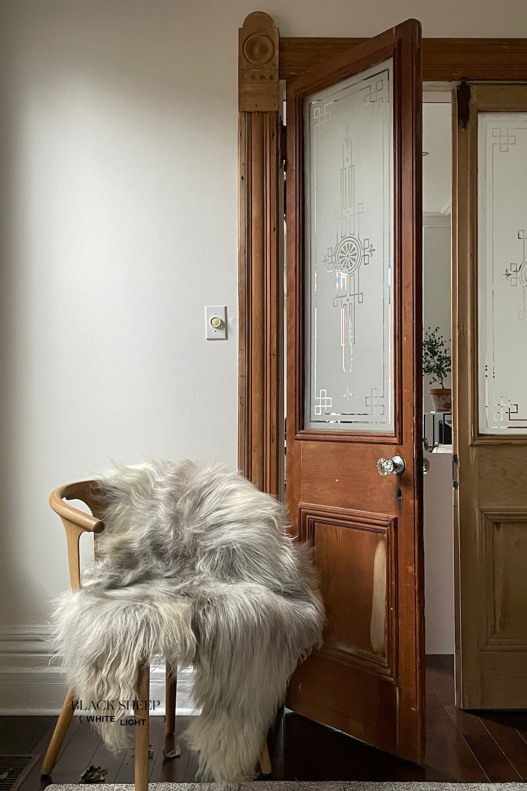 Natural Light Grey Icelandic Sheepskin - Black Sheep (White Light)