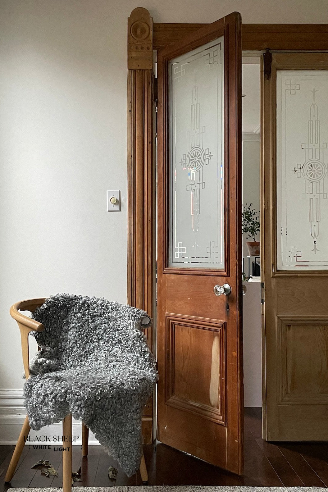 Grey Short Wool Gotland Sheepskin - Black Sheep (White Light)