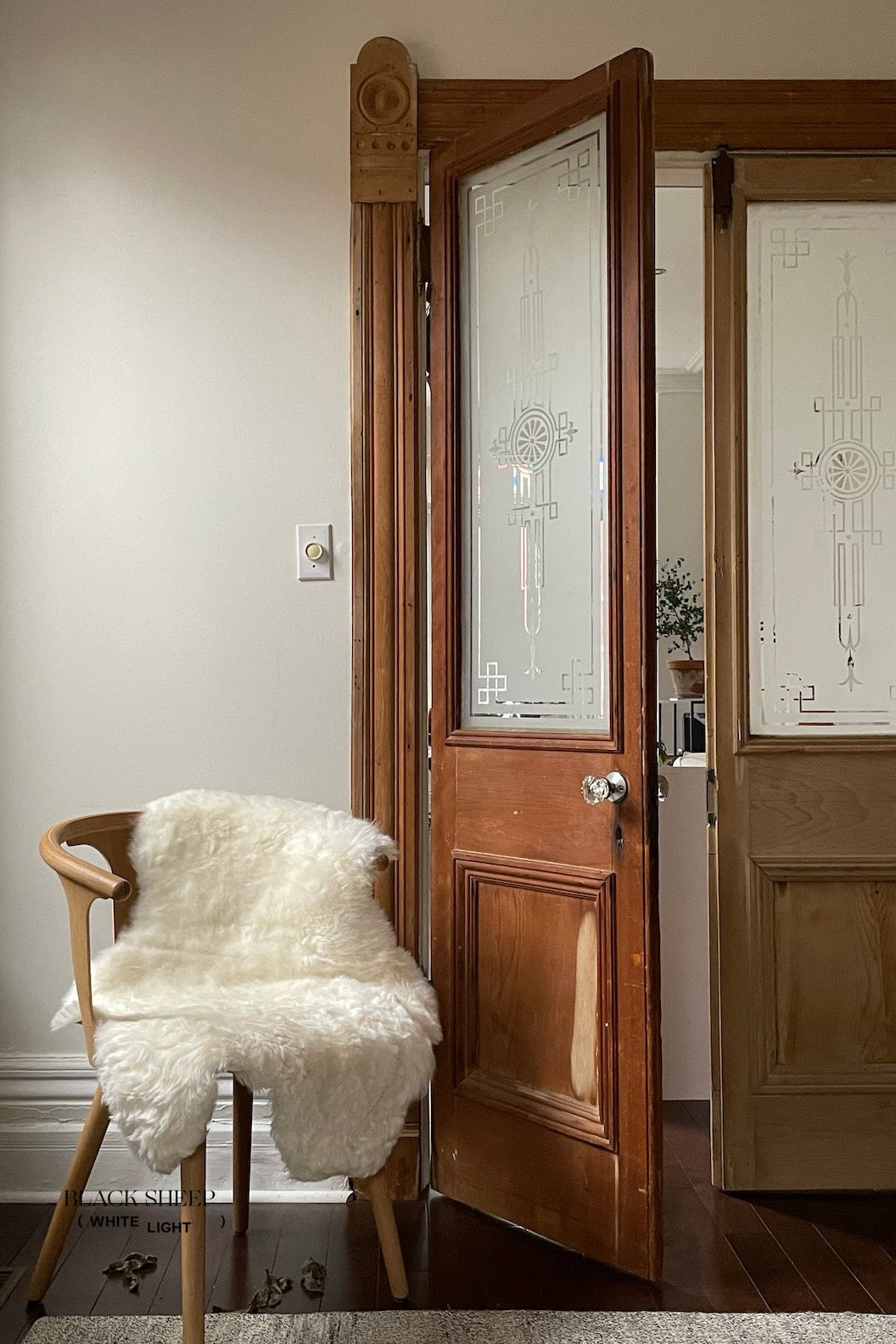Shorn White Icelandic Sheepskin - Black Sheep (White Light)