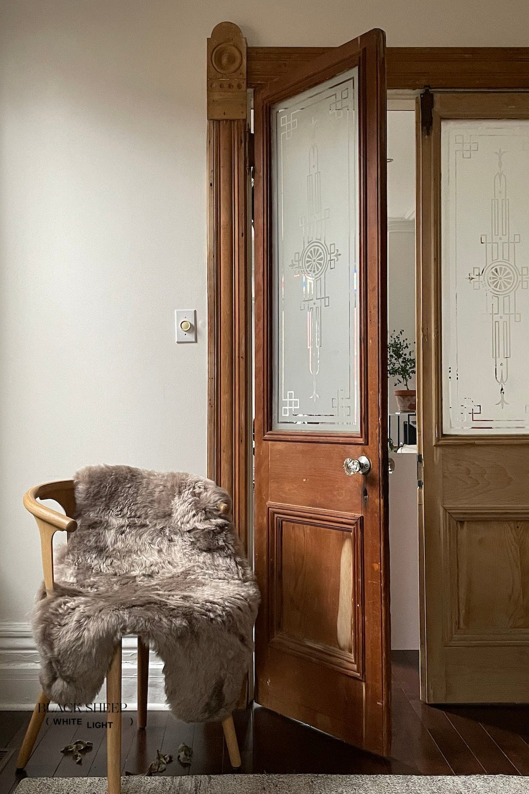 Shorn Taupe Icelandic Sheepskin - Black Sheep (White Light)