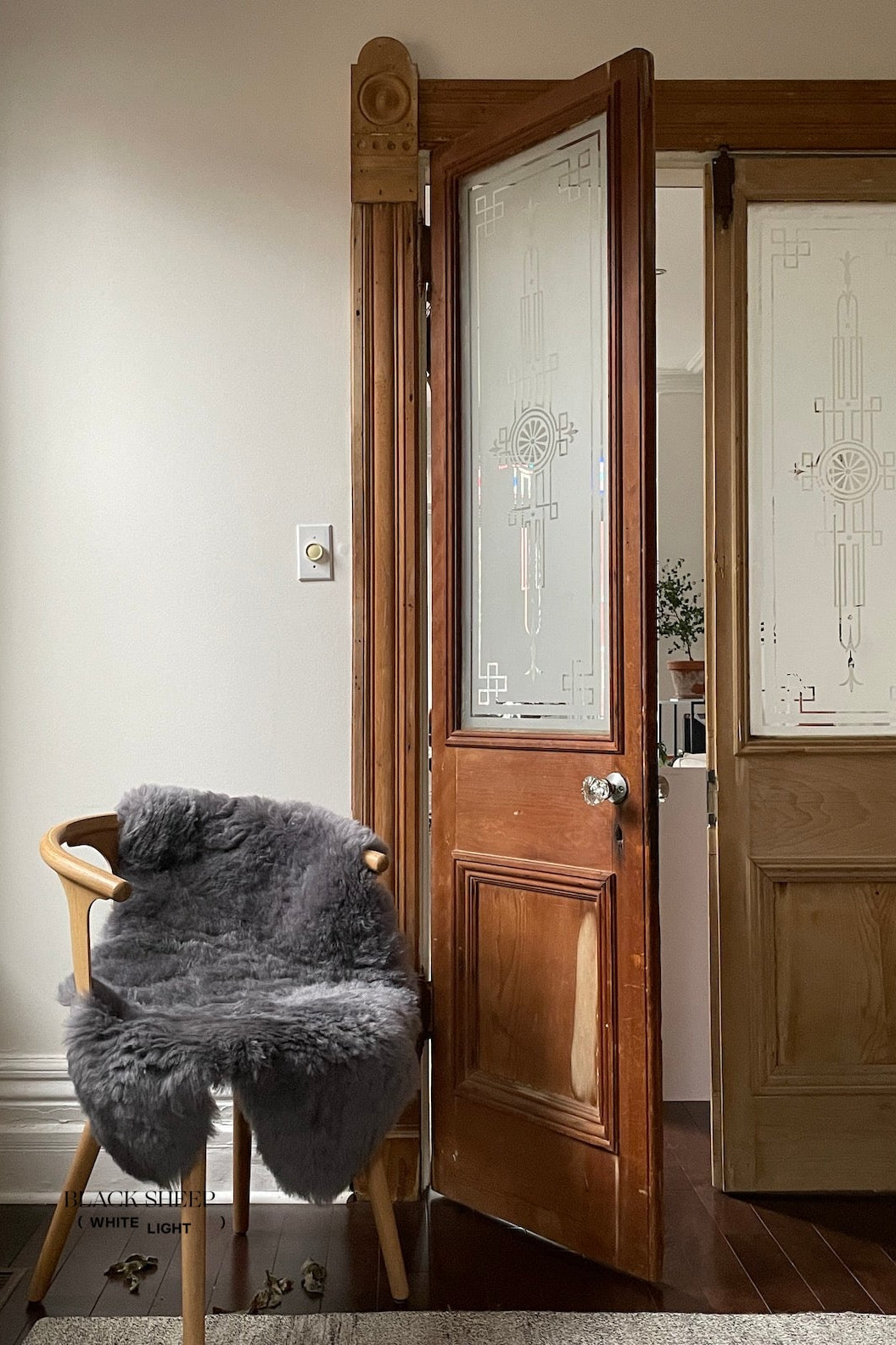 Shorn Silver Icelandic Sheepskin - Black Sheep (White Light)