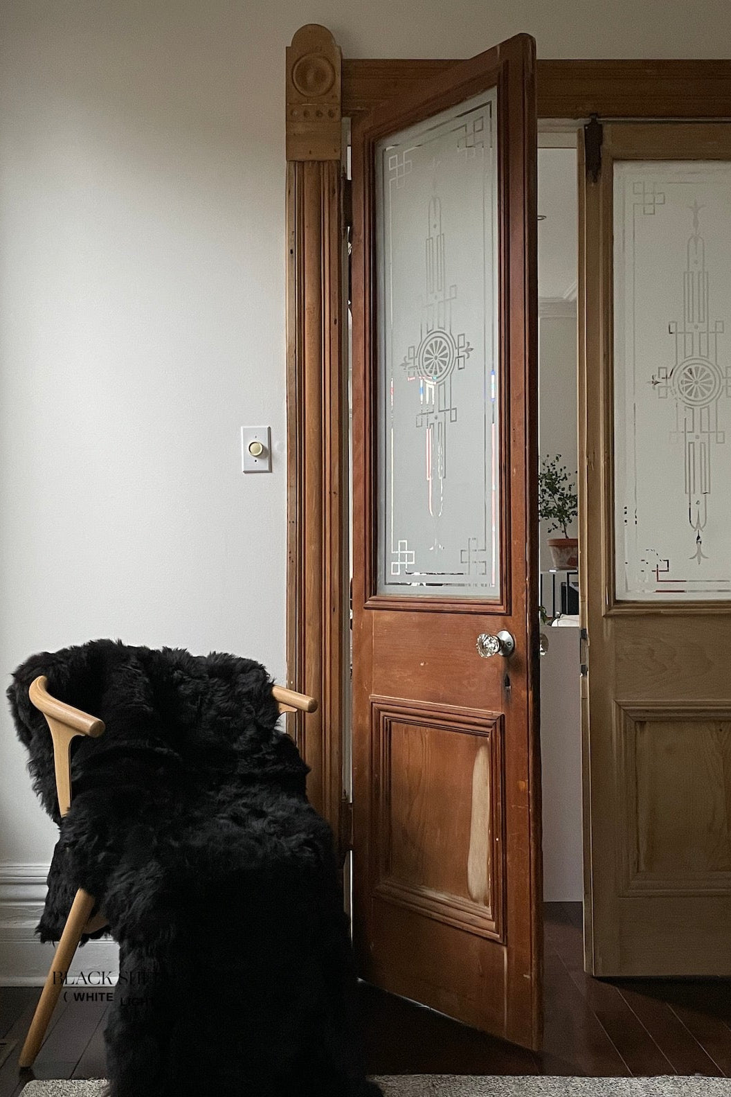 Shorn Black Double Icelandic Sheepskin - Black Sheep (White Light)