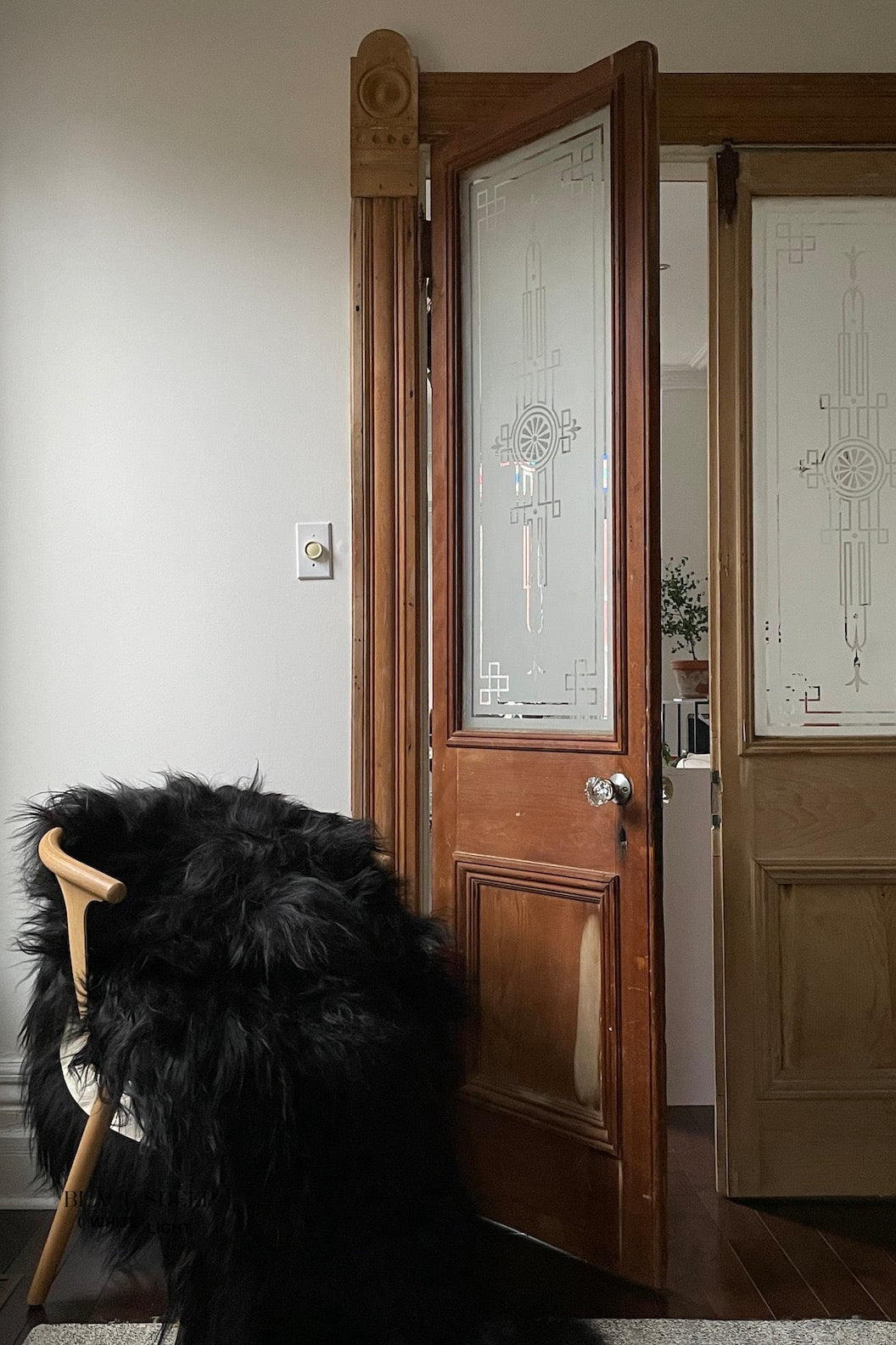 Black Double Icelandic Sheepskin - Black Sheep (White Light)