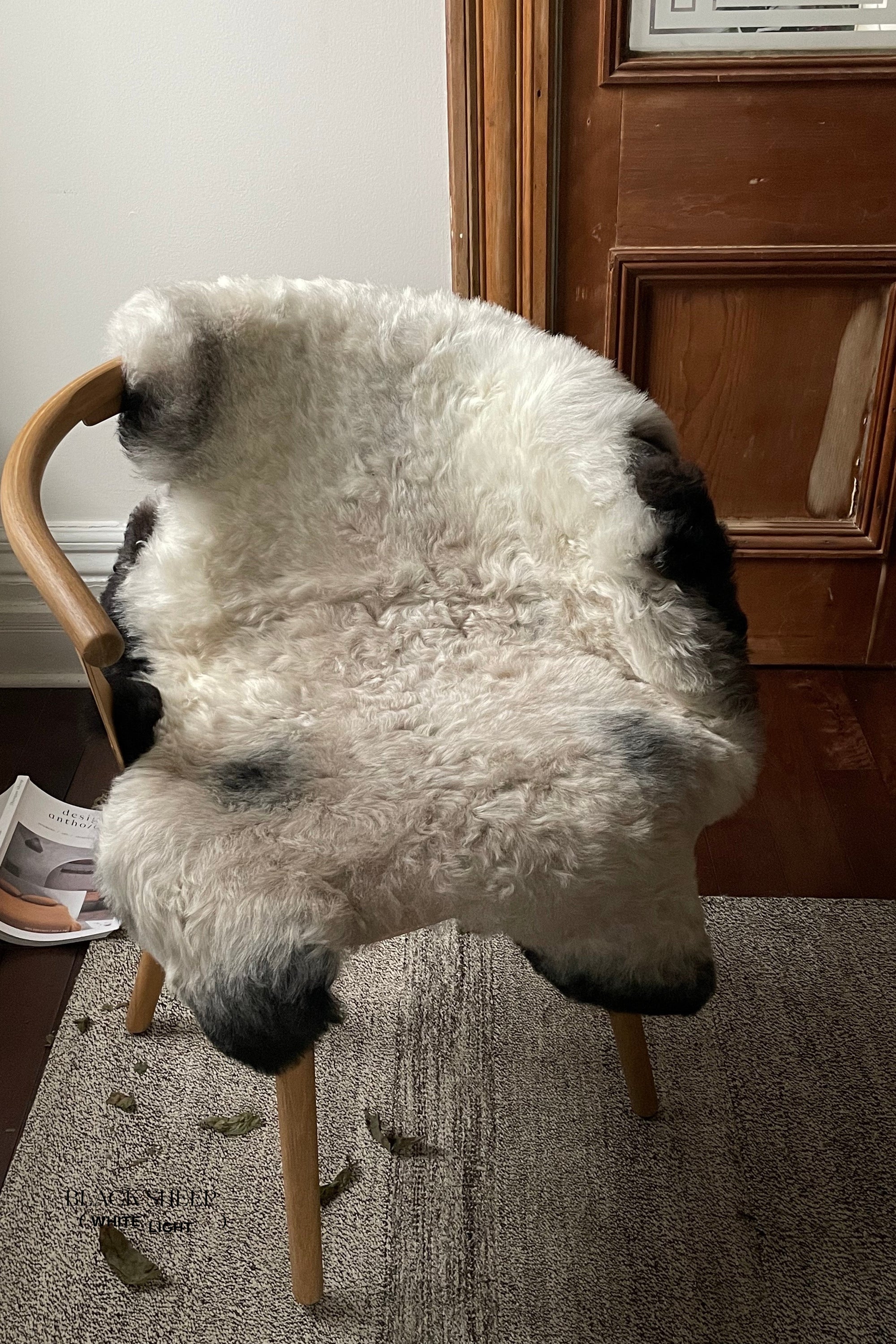 Shorn Grey Icelandic Sheepskin - Black Sheep (White Light)