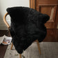 Shorn Black Icelandic Sheepskin - Black Sheep (White Light)