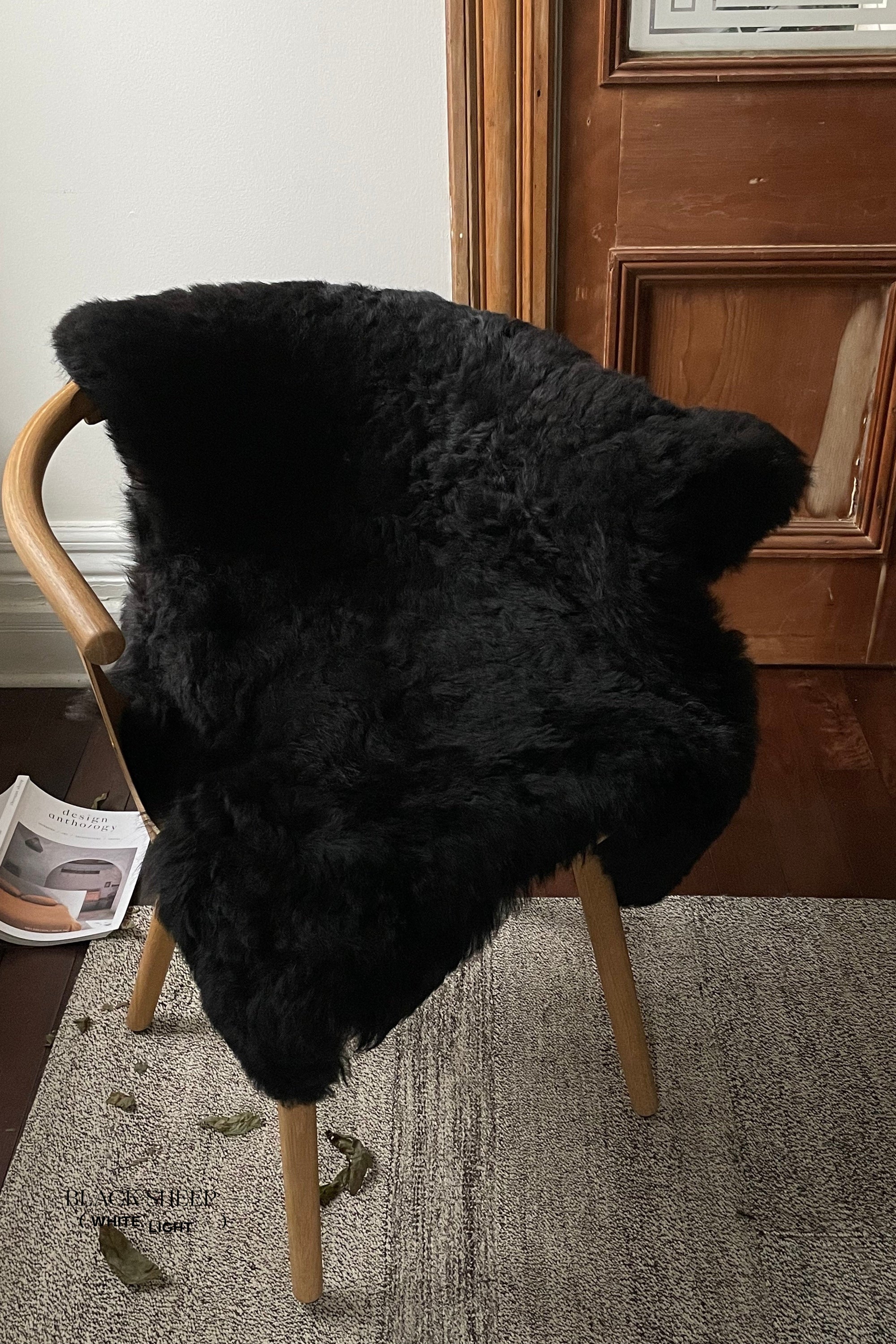 Shorn Black Icelandic Sheepskin - Black Sheep (White Light)