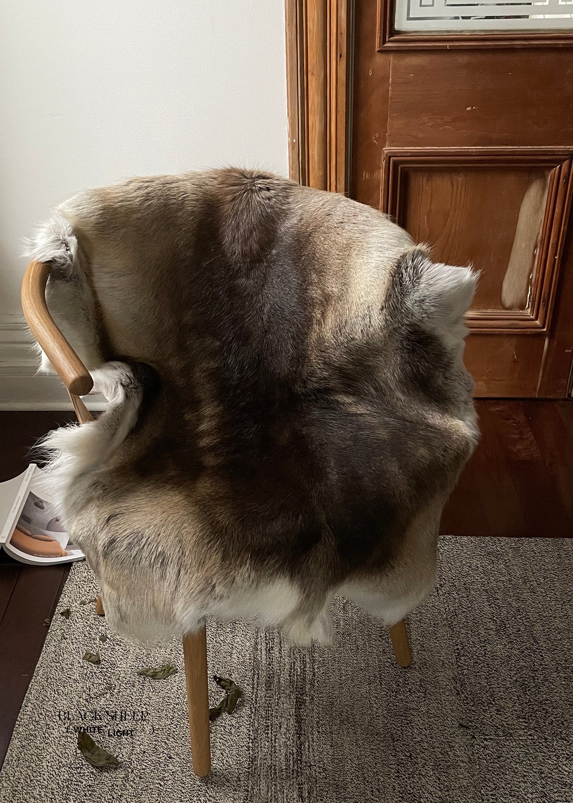 Dark Sami Reindeer Hide - Black Sheep (White Light)