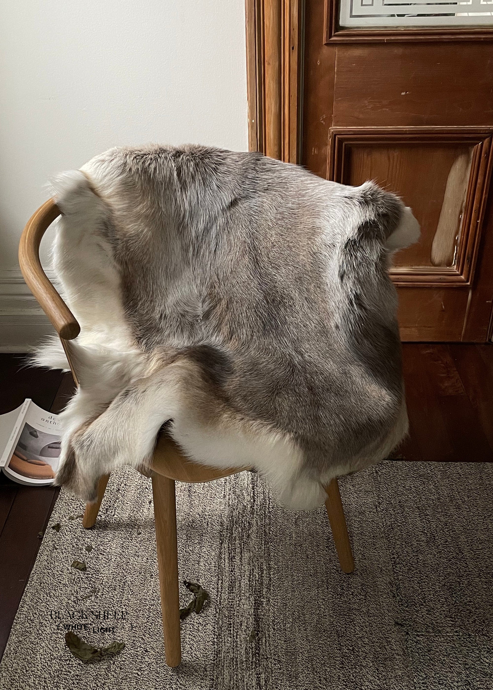 Light Sami Reindeer Hide - Black Sheep (White Light)