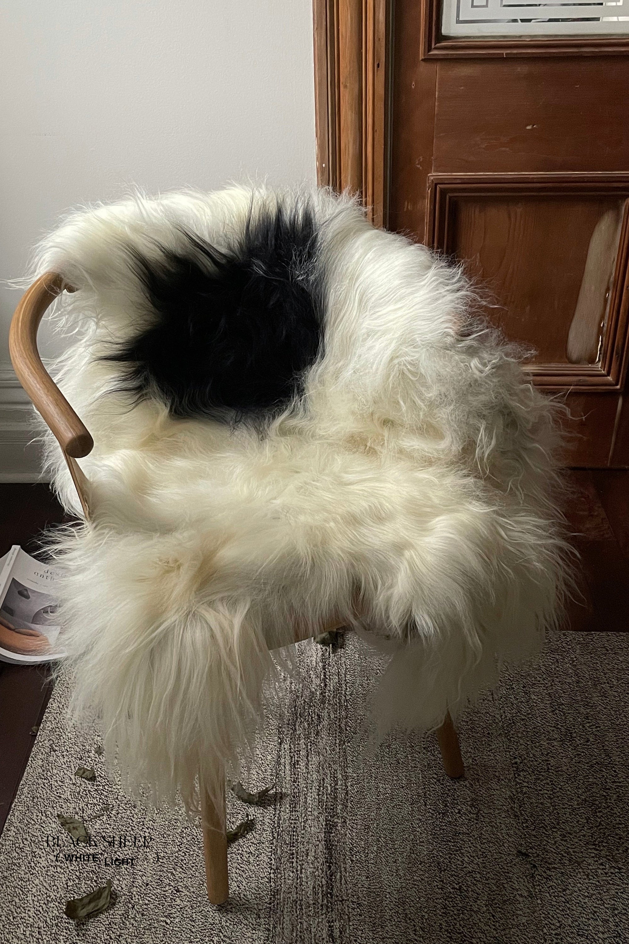 Black Spotted Icelandic Sheepskin | Random - Black Sheep (White Light)