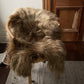 Light Brown Icelandic Sheepskin - Black Sheep (White Light)