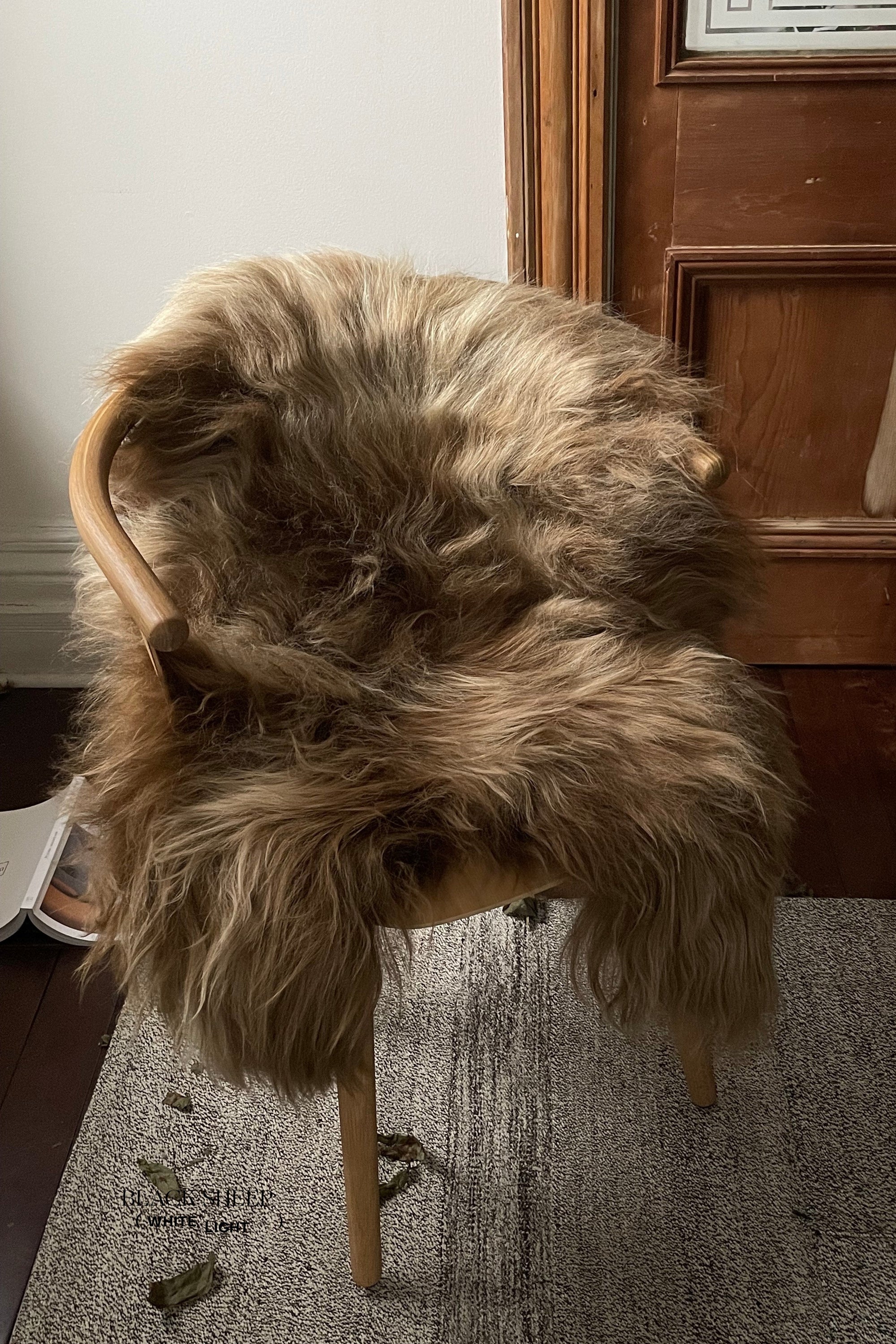 Light Brown Icelandic Sheepskin - Black Sheep (White Light)