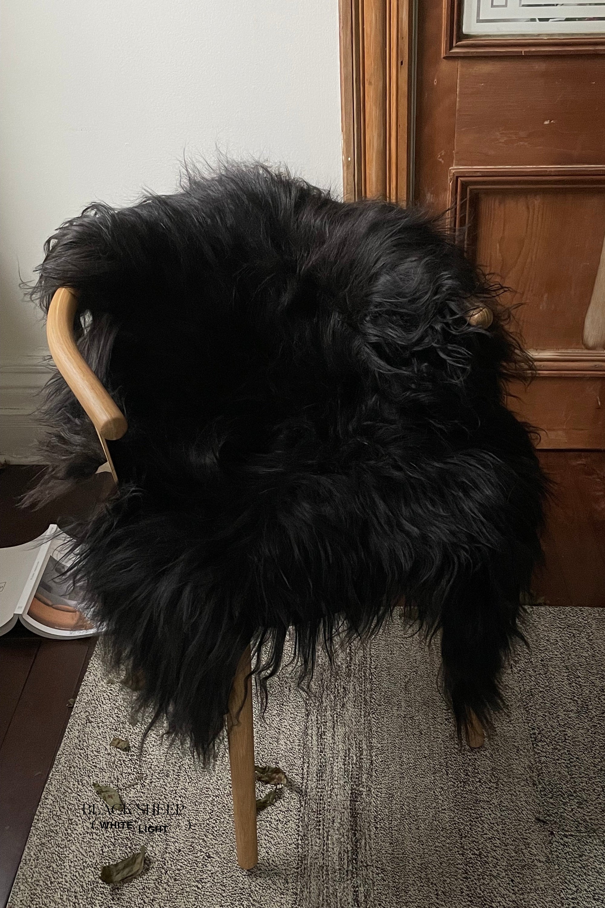 Black Icelandic Sheepskin - Black Sheep (White Light)