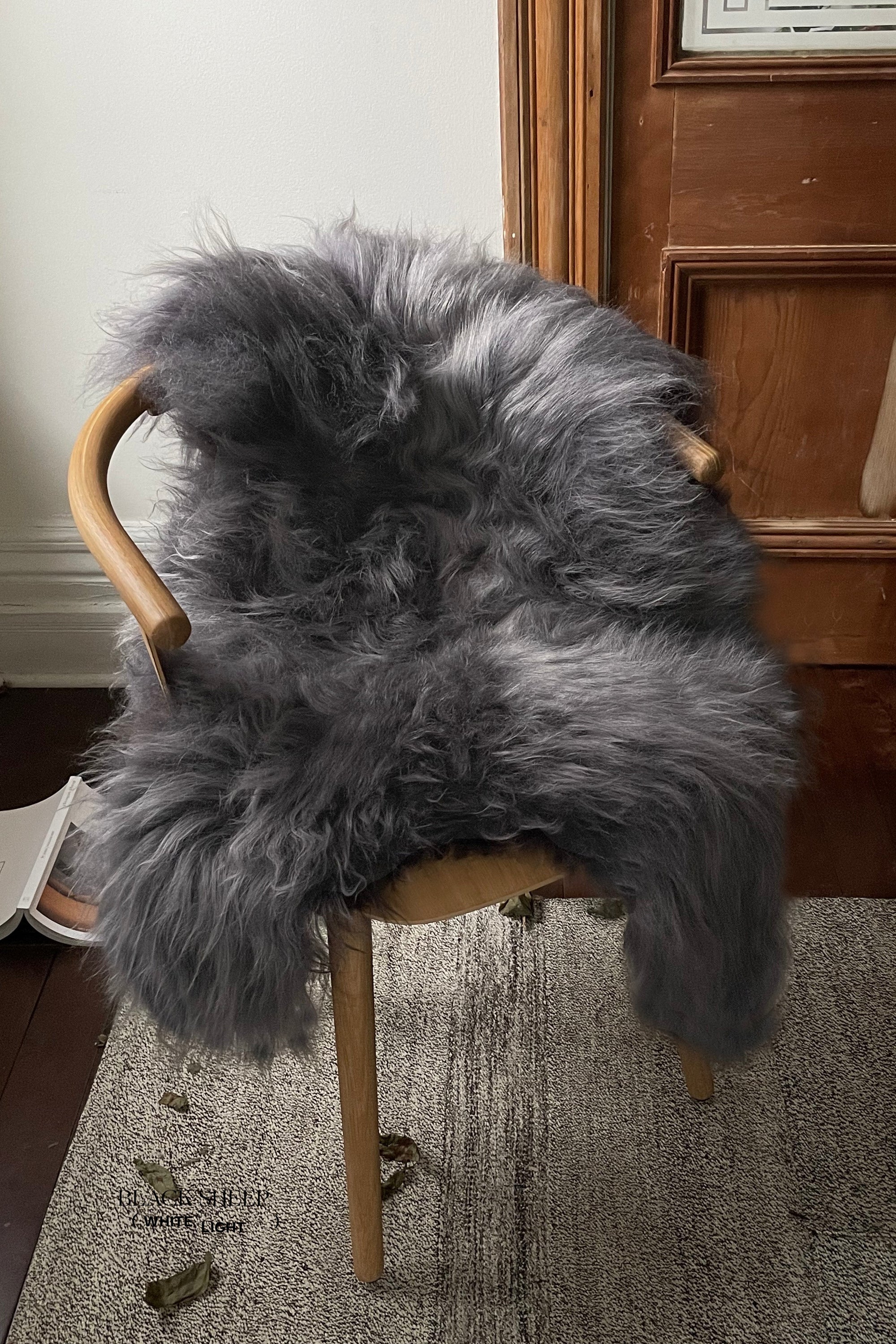 Silver Icelandic Sheepskin - Black Sheep (White Light)