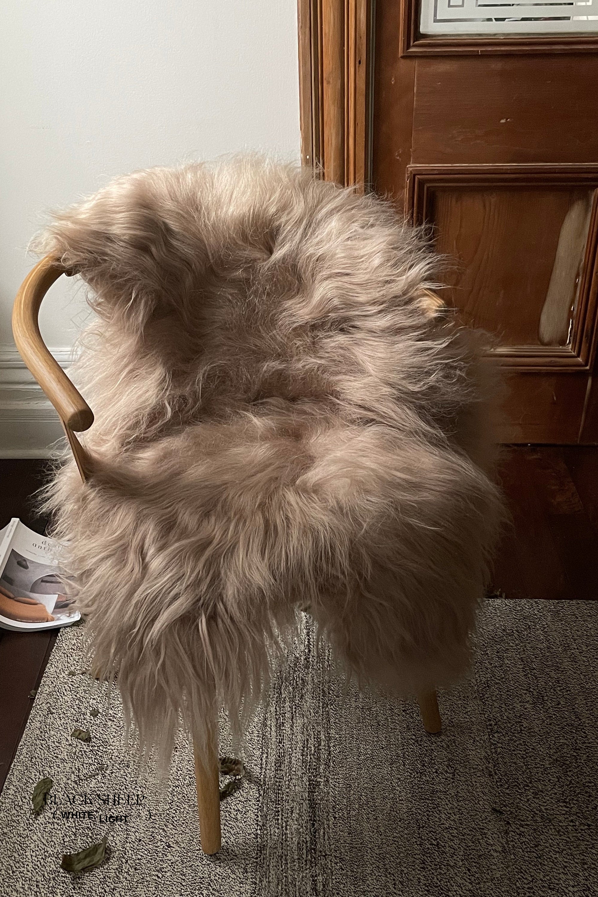 Camel Icelandic Sheepskin - Black Sheep (White Light)