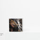Golden Black Marble Asymmetric Book Ends - Black Sheep (White Light)
