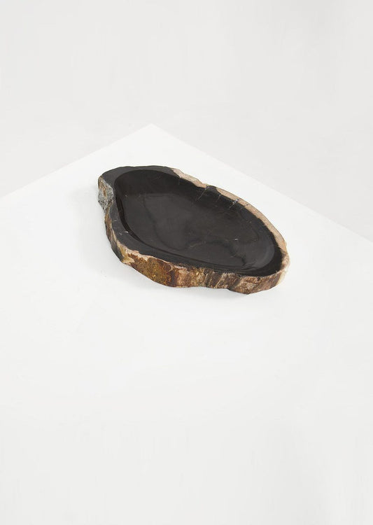 Petrified Wood Dark Round Vessel - Black Sheep (White Light)