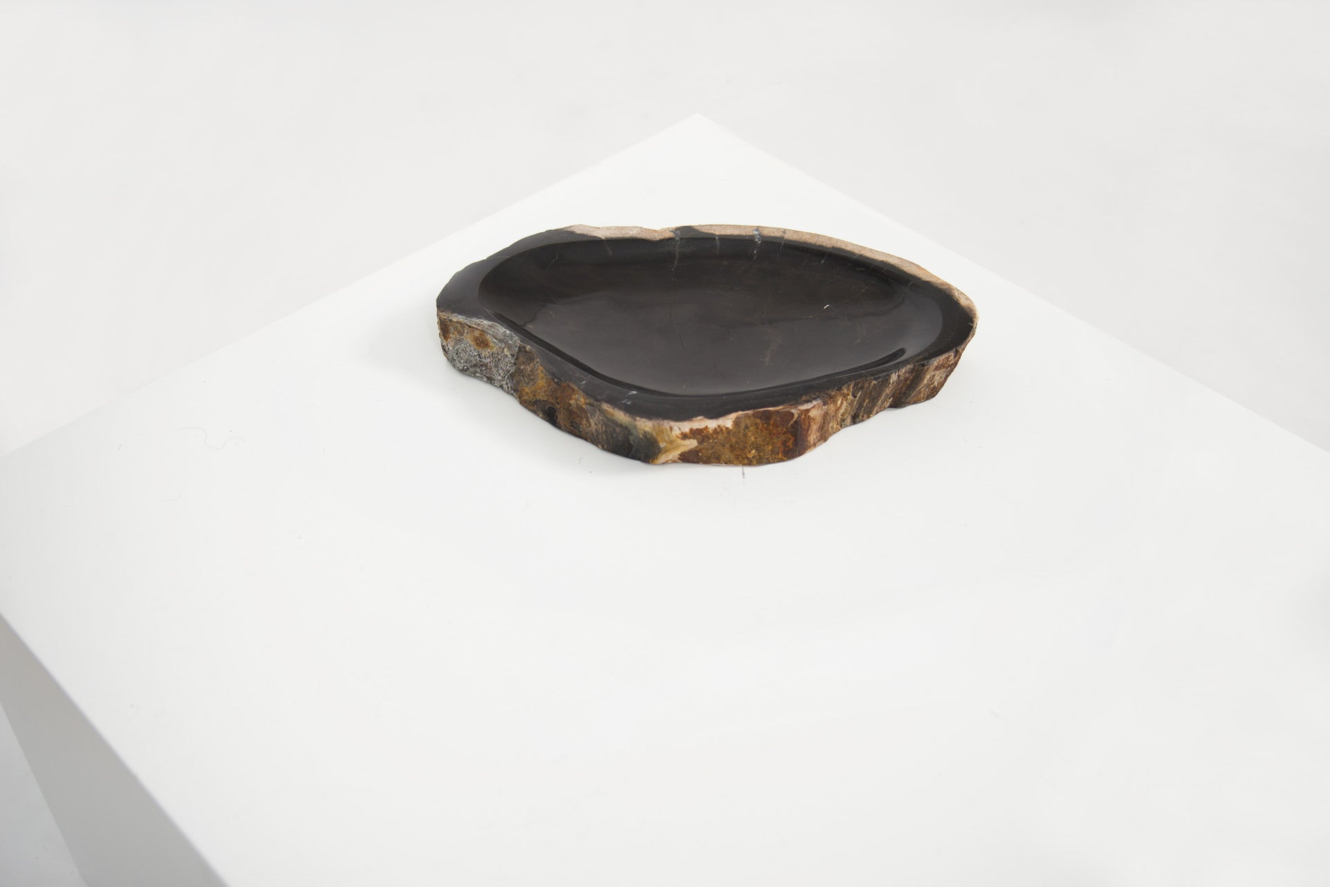 Petrified Wood Dark Round Vessel - Black Sheep (White Light)