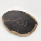 Petrified Wood Dark Decorative Slab - Black Sheep (White Light)