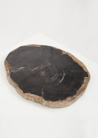 Petrified Wood Dark Decorative Slab - Black Sheep (White Light)
