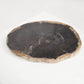 Petrified Wood Dark Decorative Slab - Black Sheep (White Light)