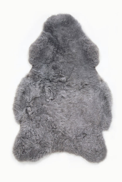 Shorn Silver Icelandic Sheepskin - Black Sheep (White Light)