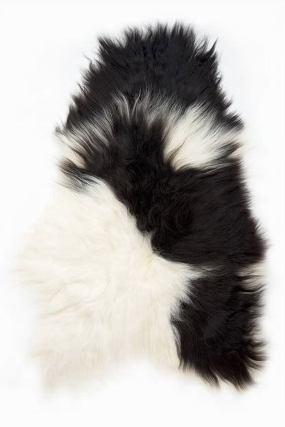 Spotted Icelandic Sheepskin | Random - Black Sheep (White Light)