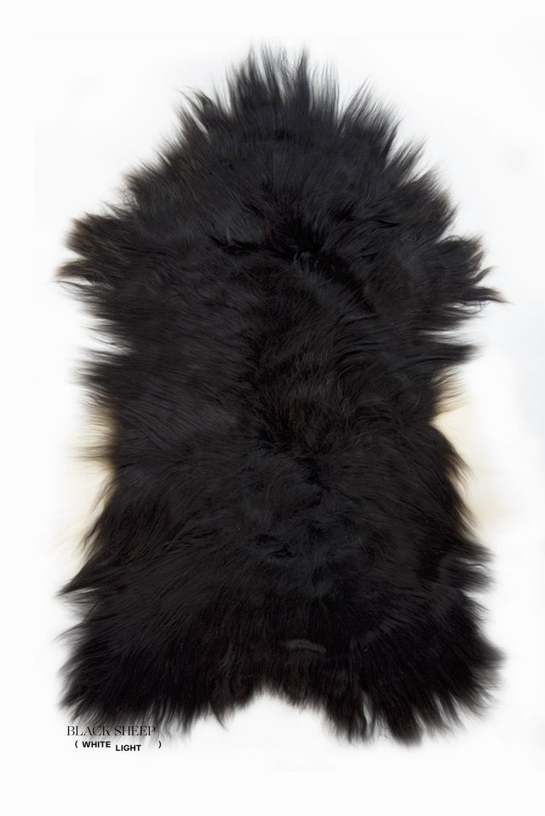Spotted Icelandic Sheepskin | Maximal - Black Sheep (White Light)