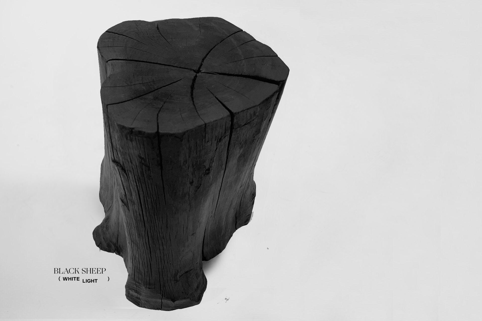 Burnt Teak Trunk Side Table or Stool - Black Sheep (White Light)