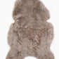 Shorn Taupe Icelandic Sheepskin - Black Sheep (White Light)