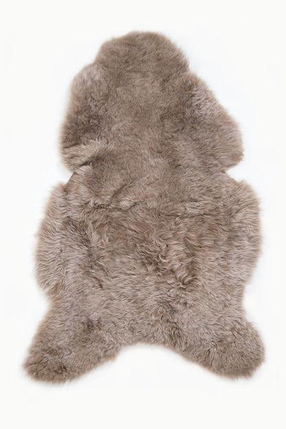 Shorn Taupe Icelandic Sheepskin - Black Sheep (White Light)